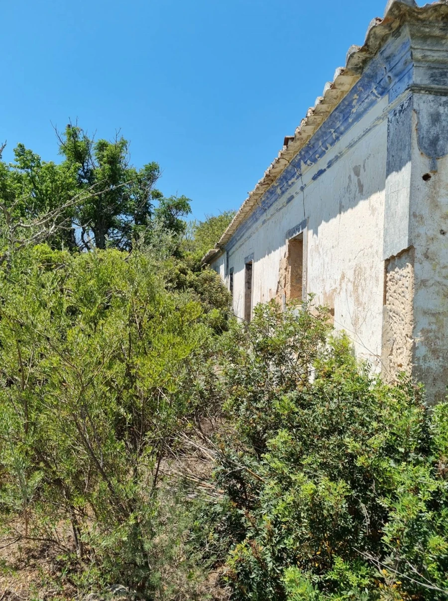 Terreno para Venda em Armação de Pera Foto 3