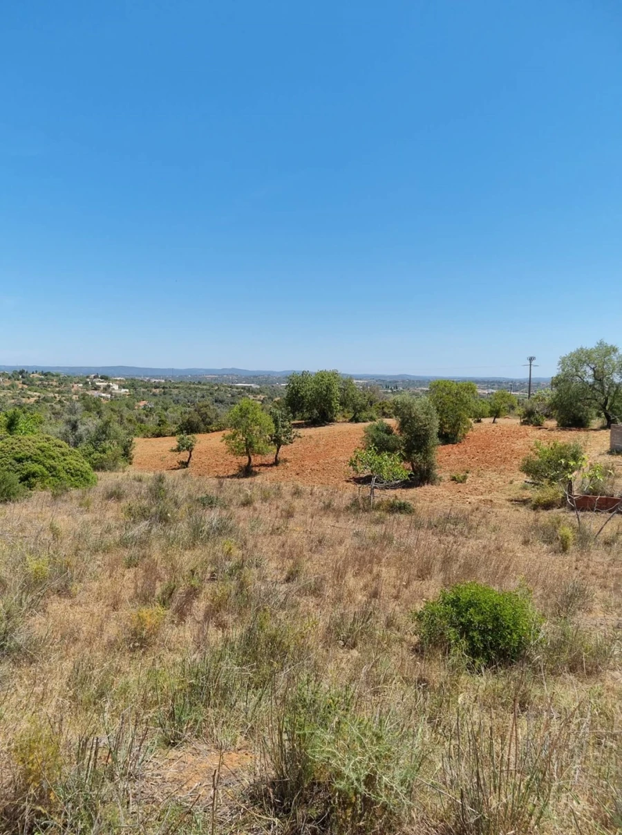 Terreno para Venda em Armação de Pera Foto 13