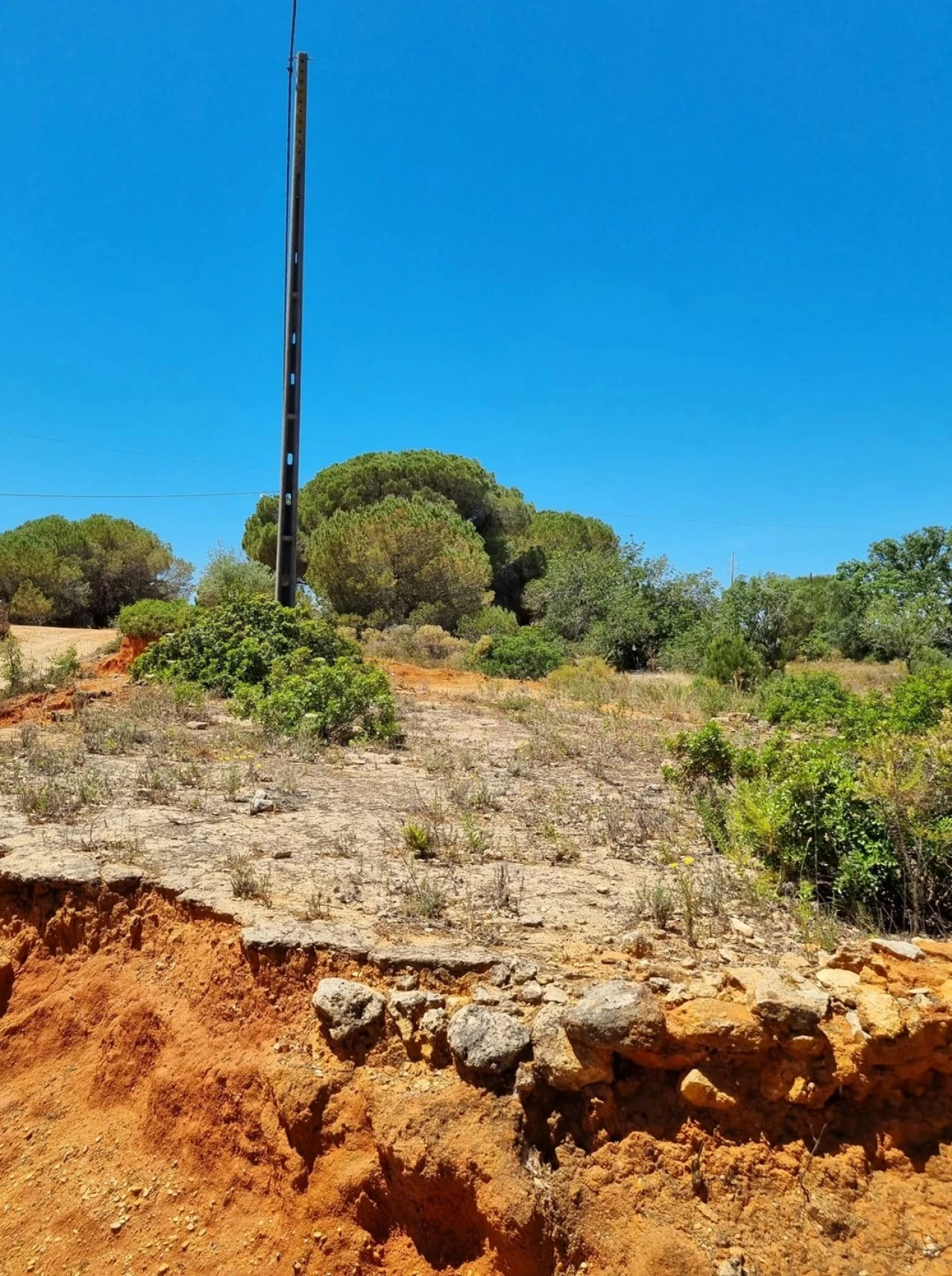Terreno para Venda em Armação de Pera Foto 12