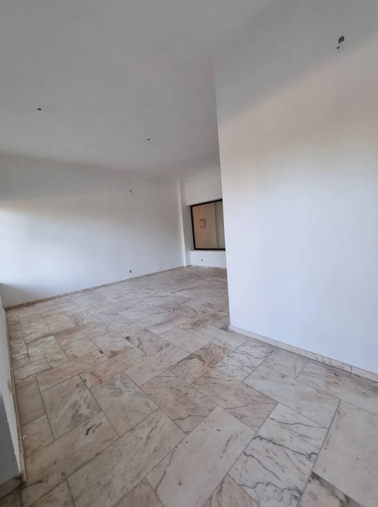 Negócio para Venda em Porches Foto 3