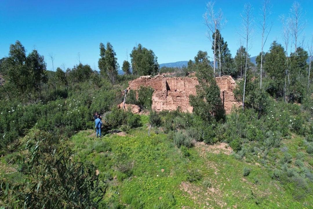 Terreno para Venda em Silves Foto 11