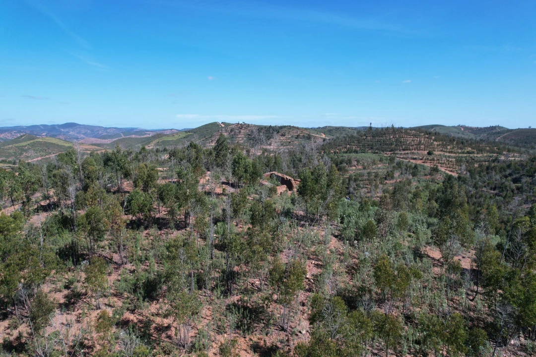 Terreno para Venda em Silves Foto 10
