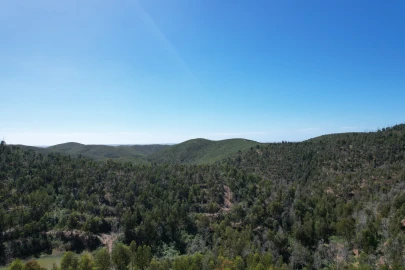 Terreno para Venda em Silves