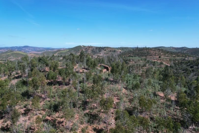 Terreno para Venda em Silves