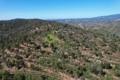 Terreno para Venda em Silves
