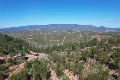 Terreno para Venda em Silves