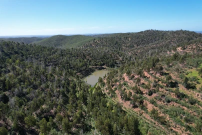 Terreno para Venda em Silves