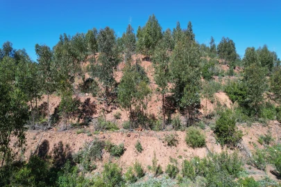 Terreno para Venda em Silves
