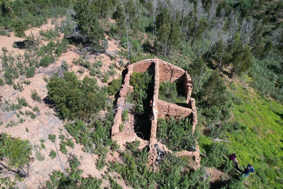 Terreno para Venda em Silves Foto 2