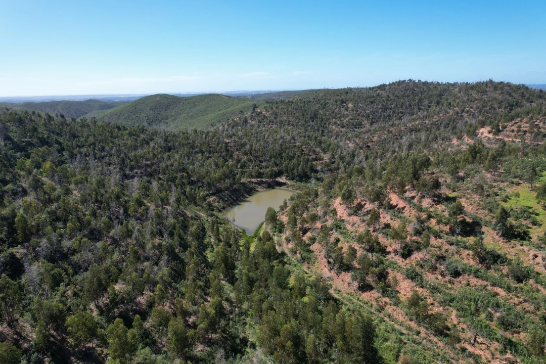 Terreno para Venda em Silves Foto 3