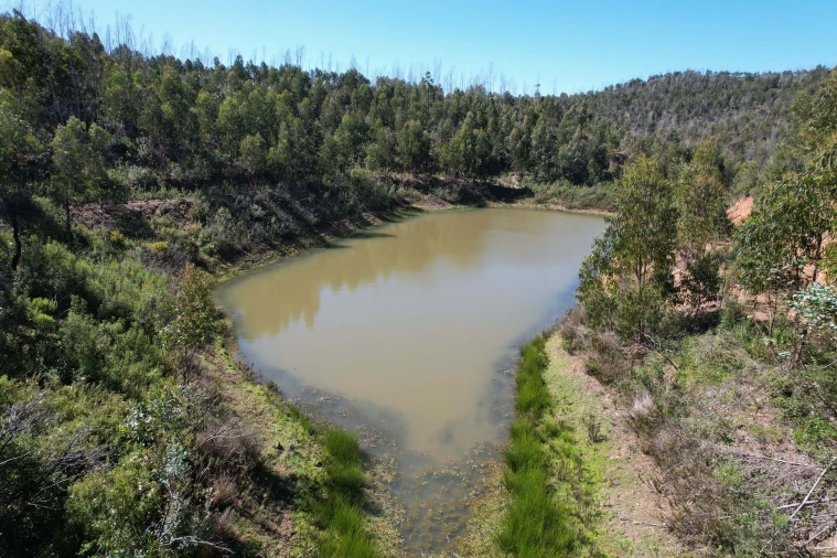 Terreno para Venda em Silves Foto 4