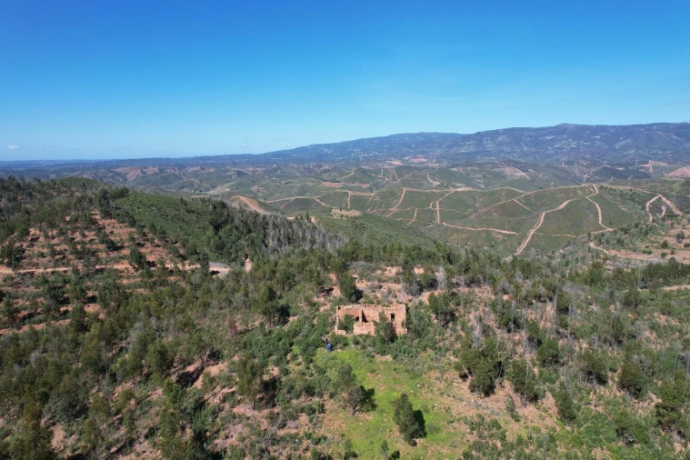 Terreno para Venda em Silves Foto 12