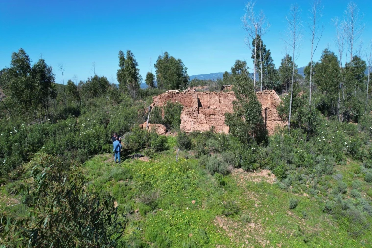 Terreno para Venda em Silves Foto 11