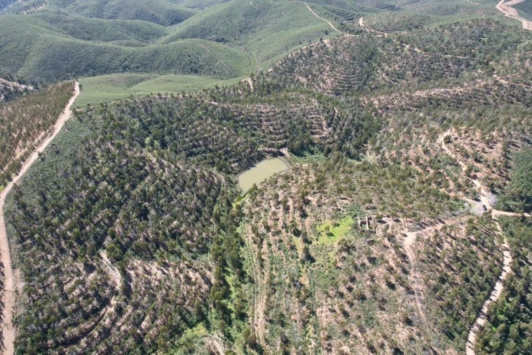 Terreno para Venda em Silves Foto 13