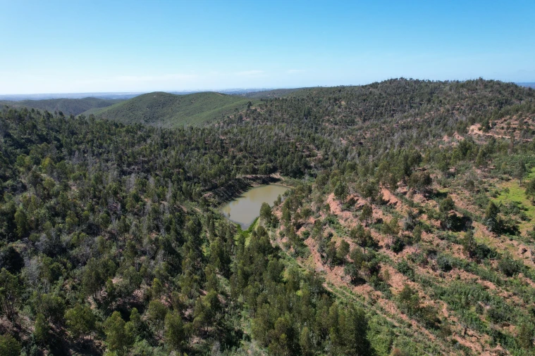 Terreno para Venda em Silves Foto 3