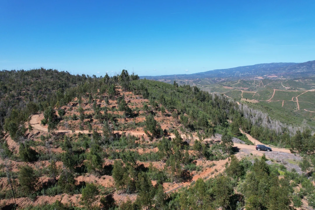 Terreno para Venda em Silves Foto 8
