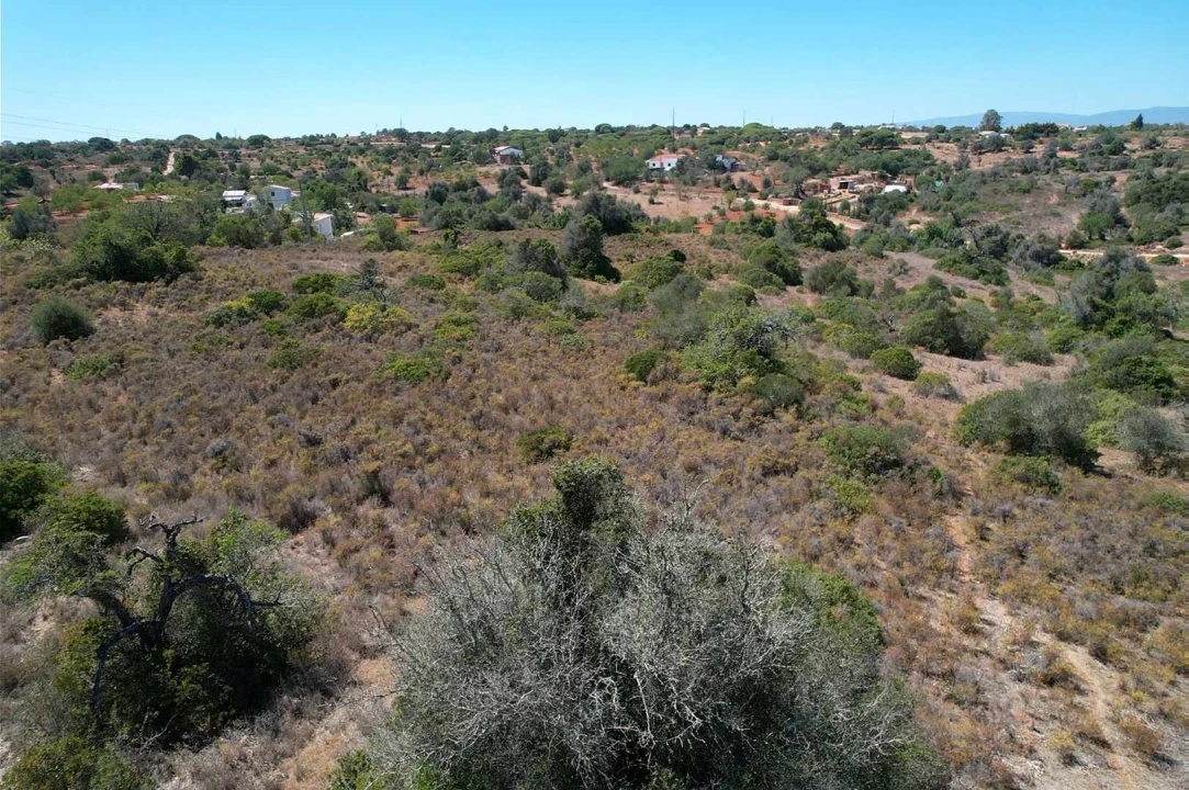 Terreno para Venda em Armação de Pera Foto 6