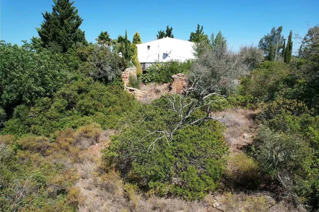 Terreno para Venda em Armação de Pera Foto 3