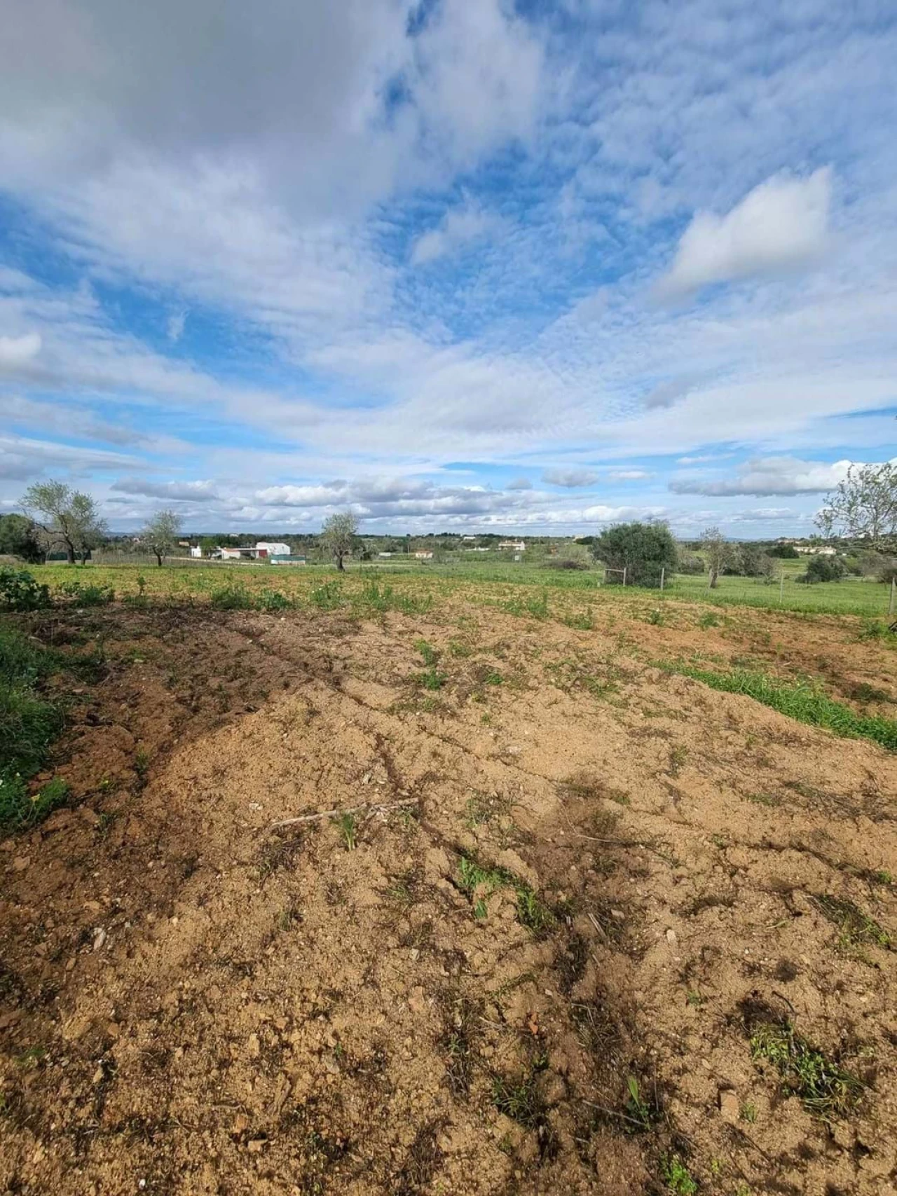 Terreno para Venda em Lagoa e Carvoeiro Foto 8