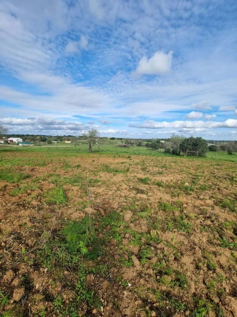 Terreno para Venda em Lagoa e Carvoeiro