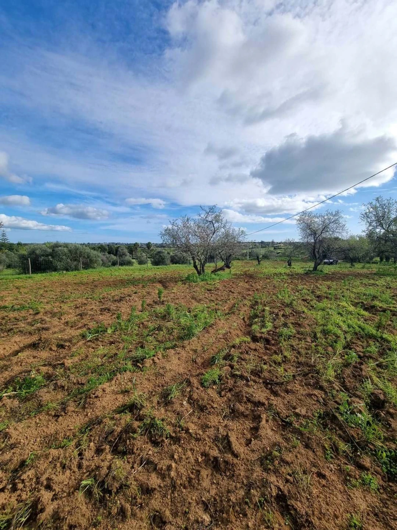Terreno para Venda em Lagoa e Carvoeiro Foto 9