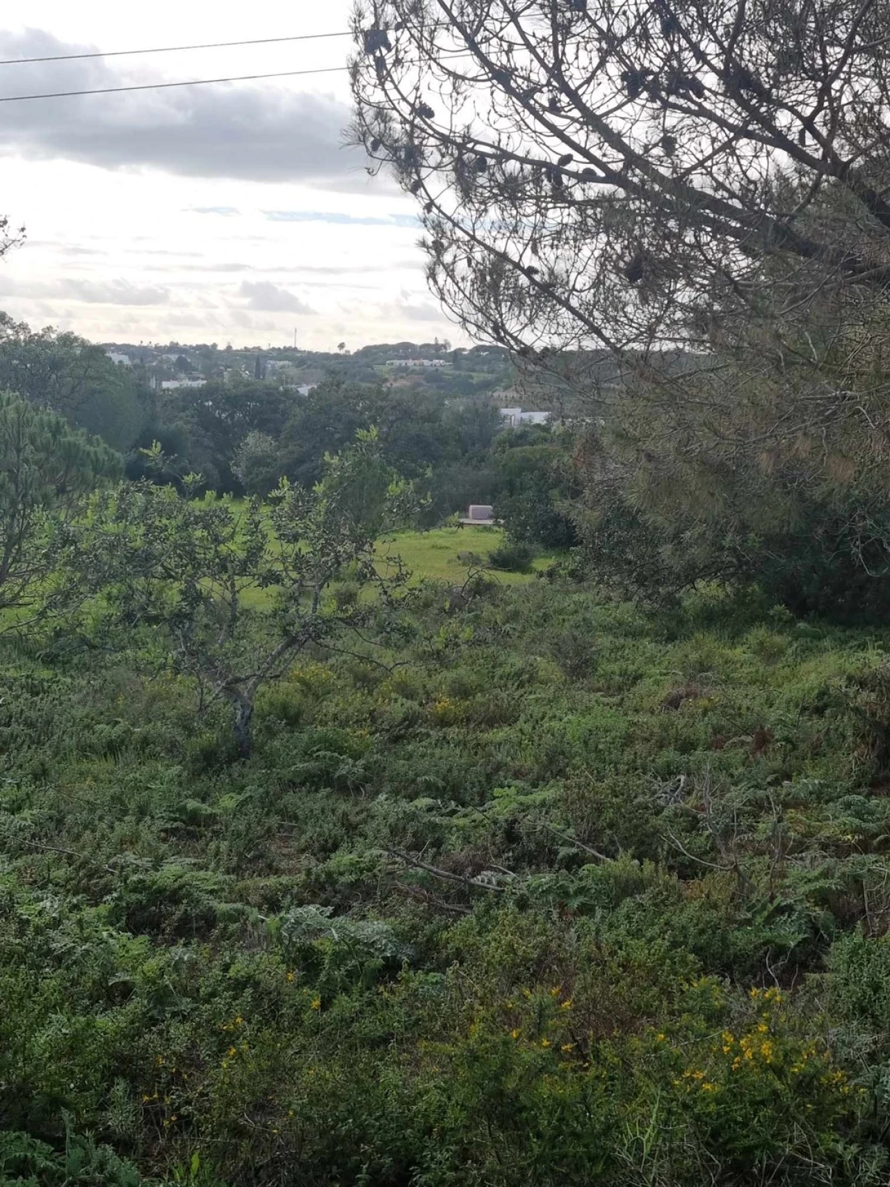 Terreno para Venda em Porches Foto 7