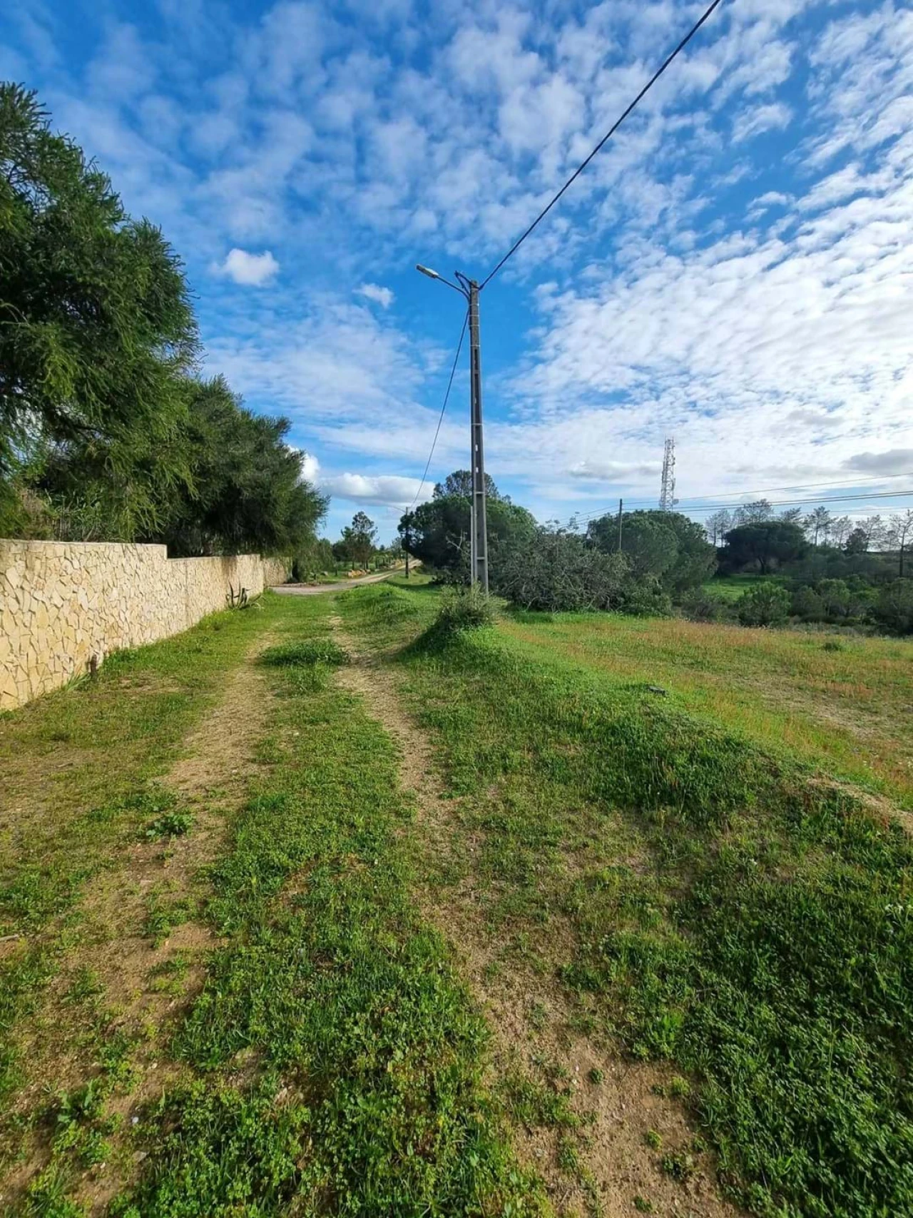 Terreno para Venda em Porches Foto 4