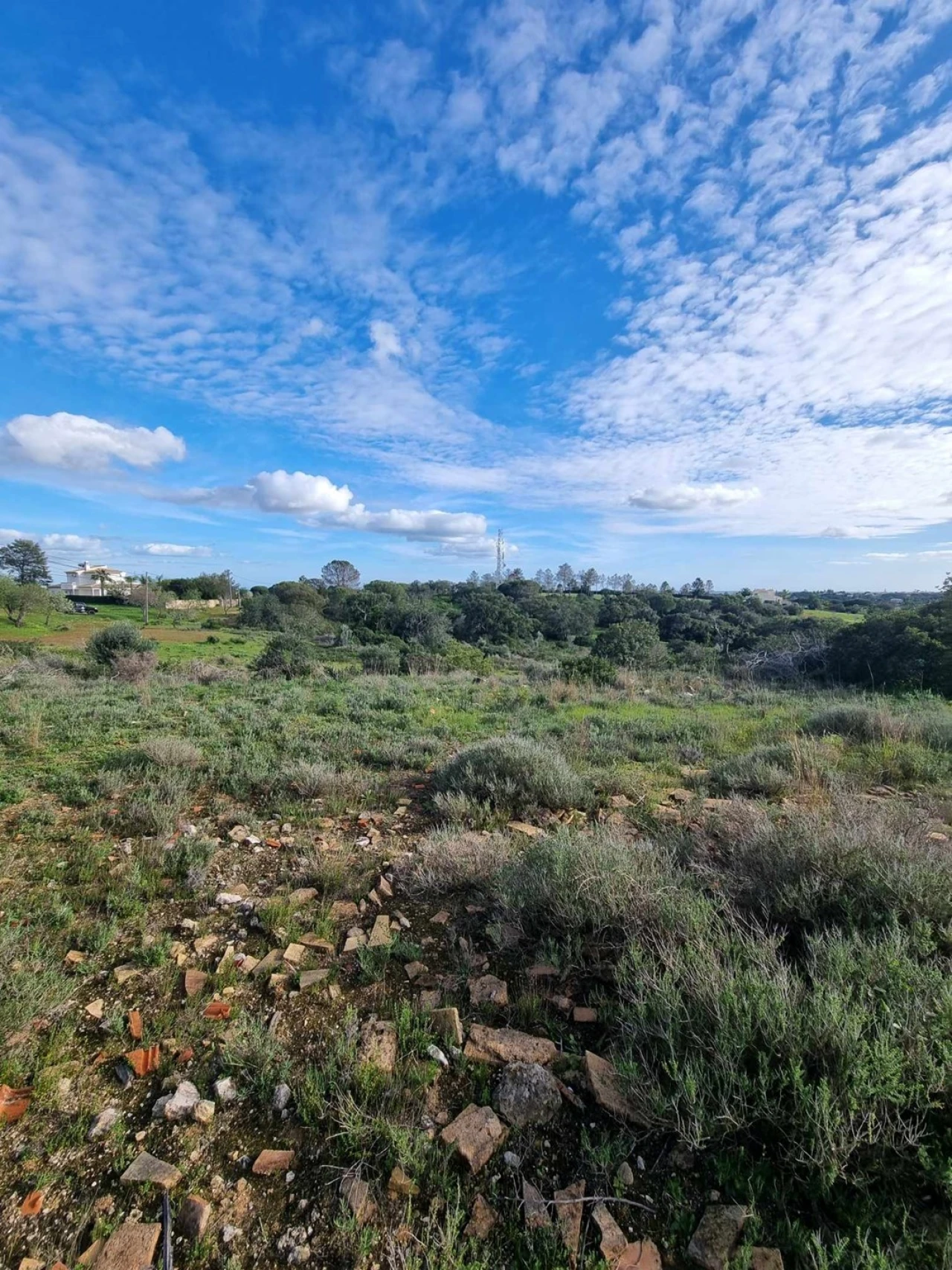 Terreno para Venda em Porches Foto 8
