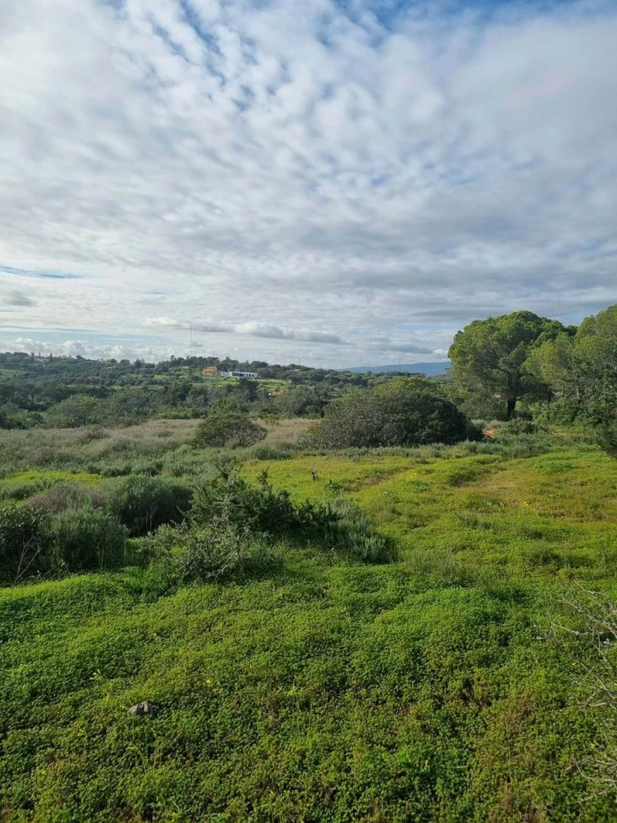 Terreno para Venda em Porches Foto 3