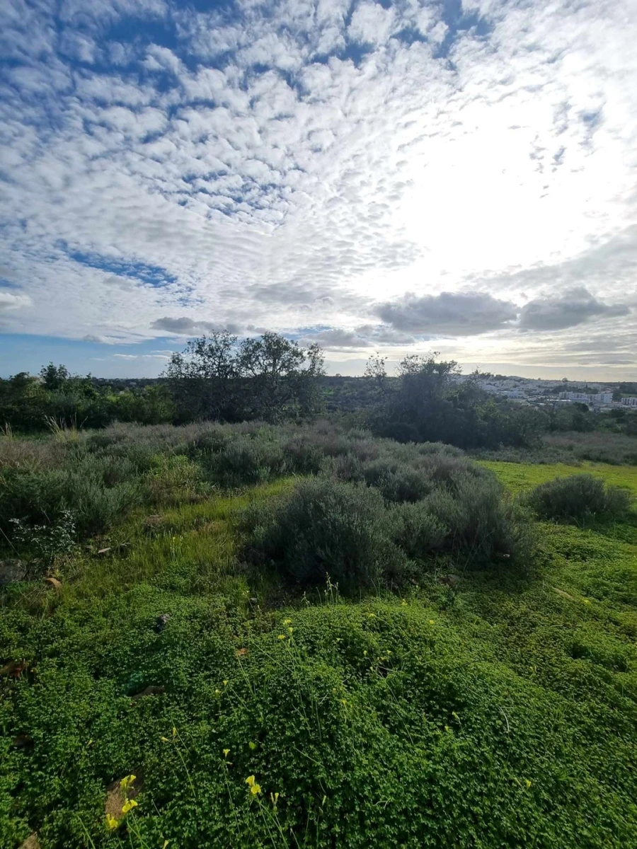 Terreno para Venda em Porches Foto 9