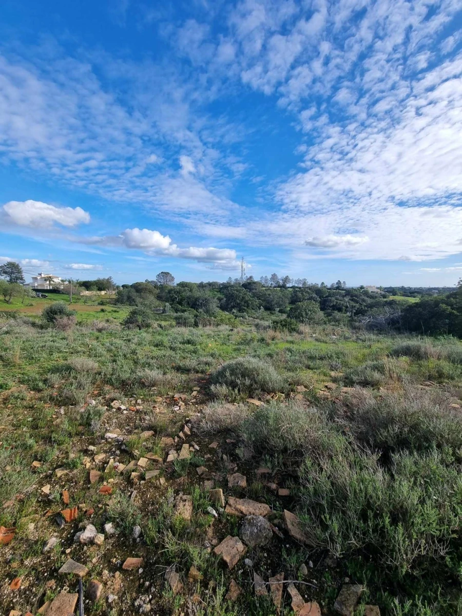 Terreno para Venda em Porches Foto 8
