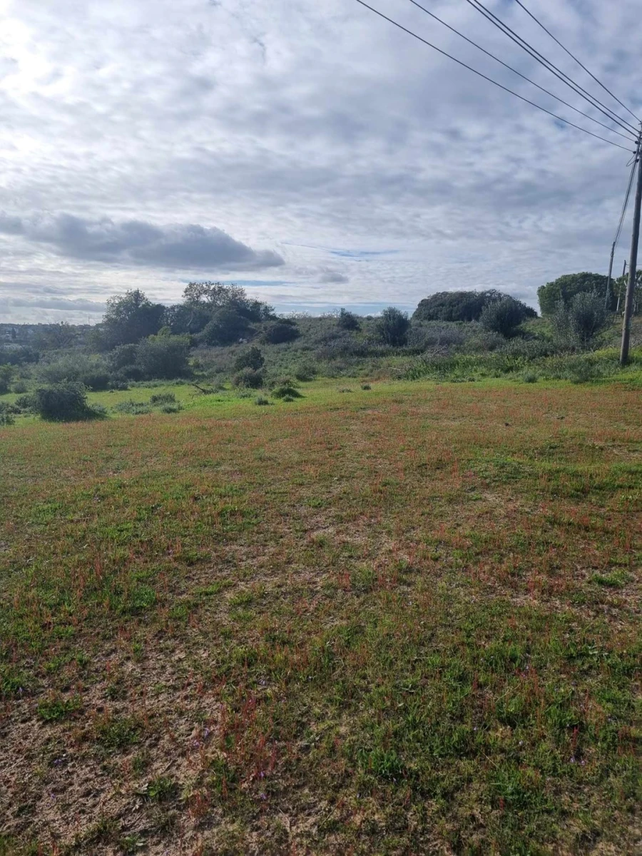 Terreno para Venda em Porches Foto 6