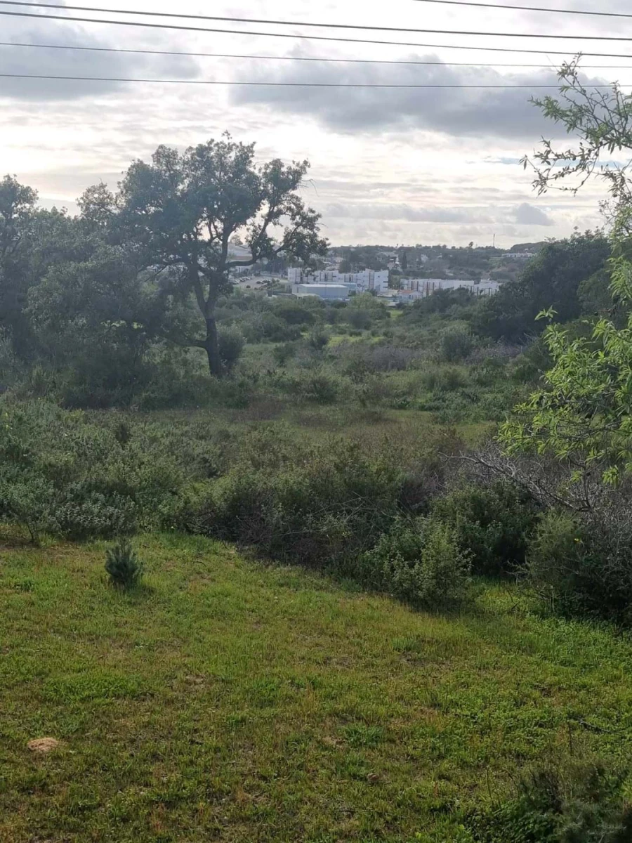 Terreno para Venda em Porches Foto 2