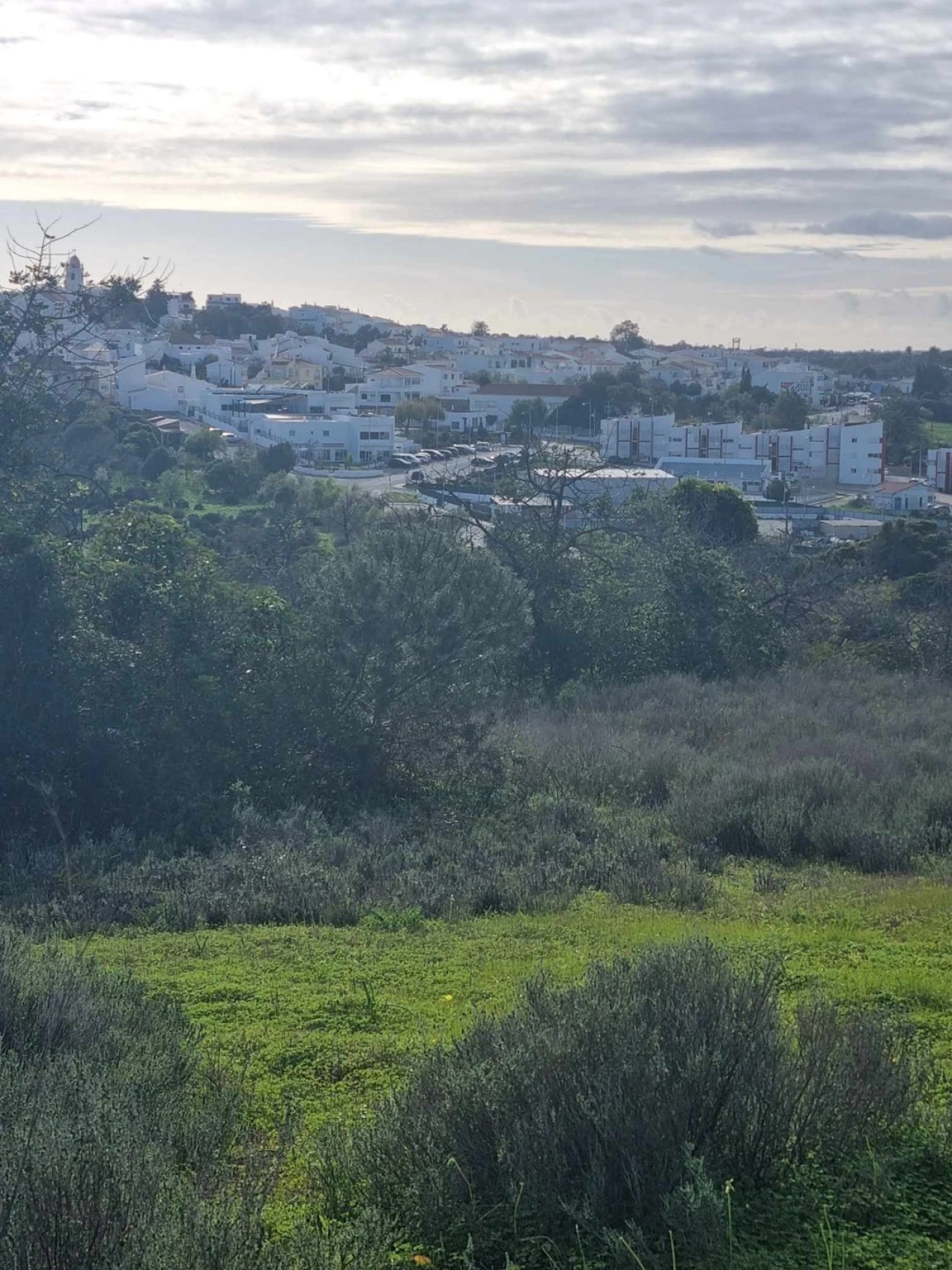 Terreno para Venda em Porches Foto 5