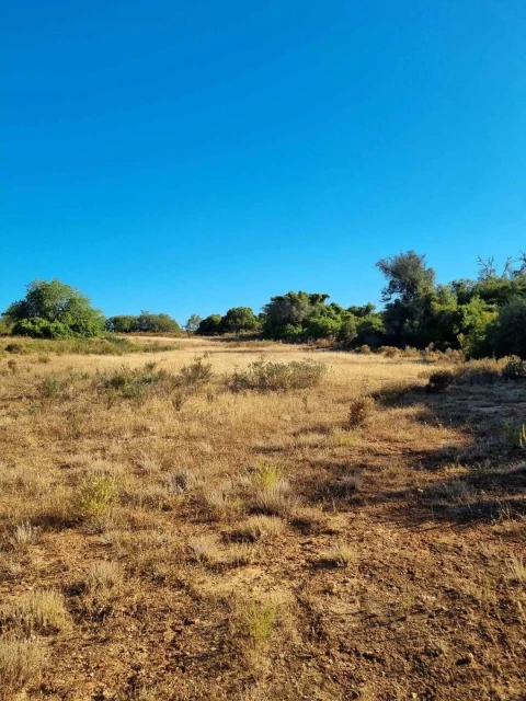 Terreno para Venda em Silves