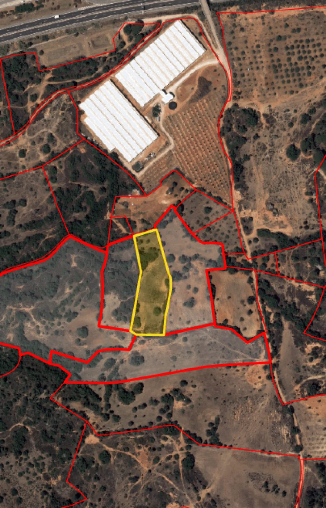 Terreno para Venda em Silves Foto 1