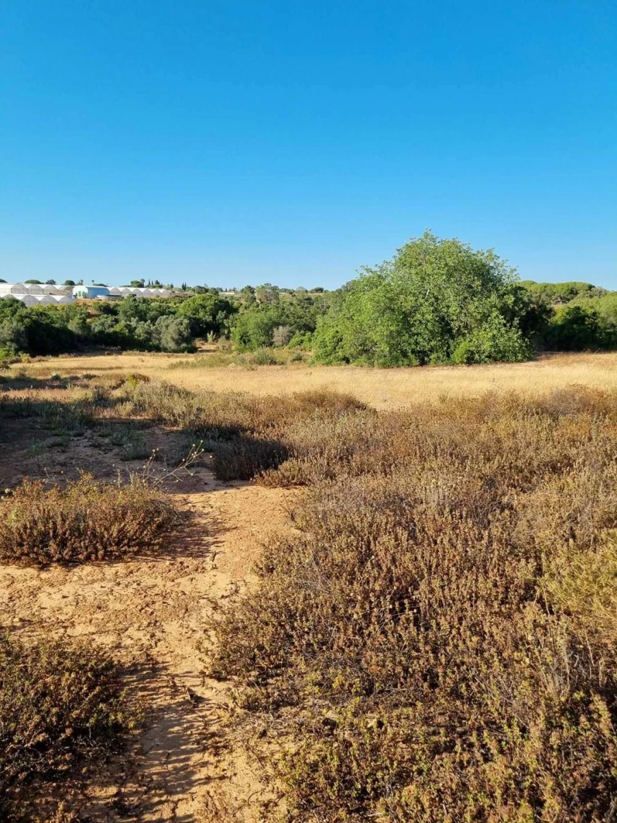 Terreno para Venda em Silves Foto 3