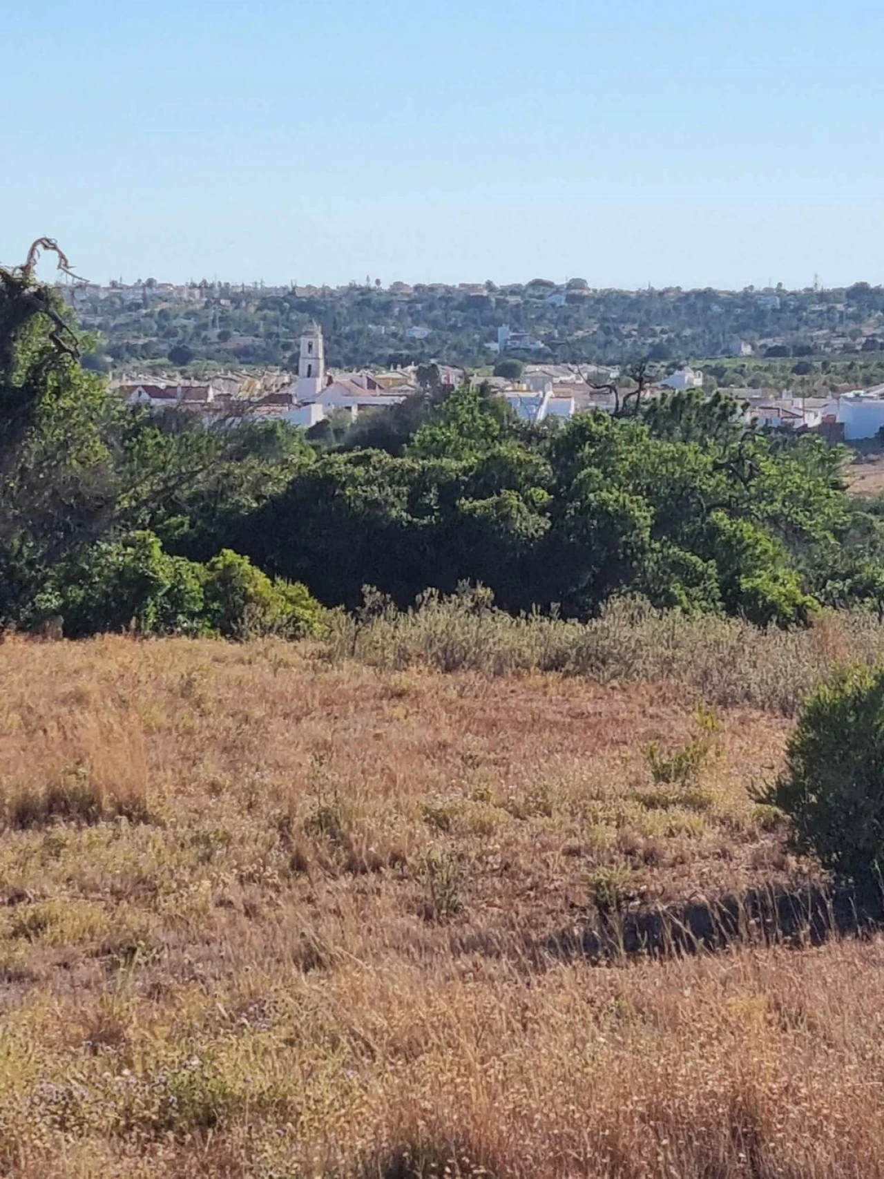 Terreno para Venda em Silves Foto 2