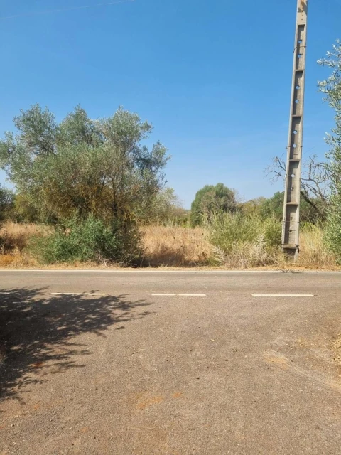 Terreno para Venda em Silves