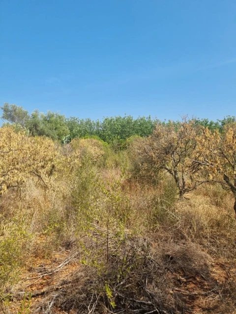 Terreno para Venda em Silves