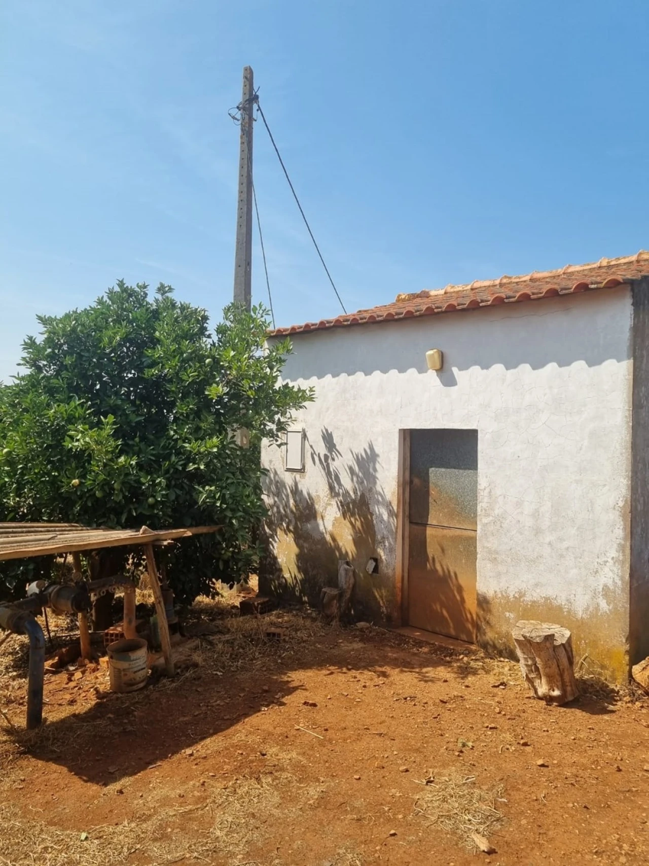 Terreno para Venda em Silves Foto 6