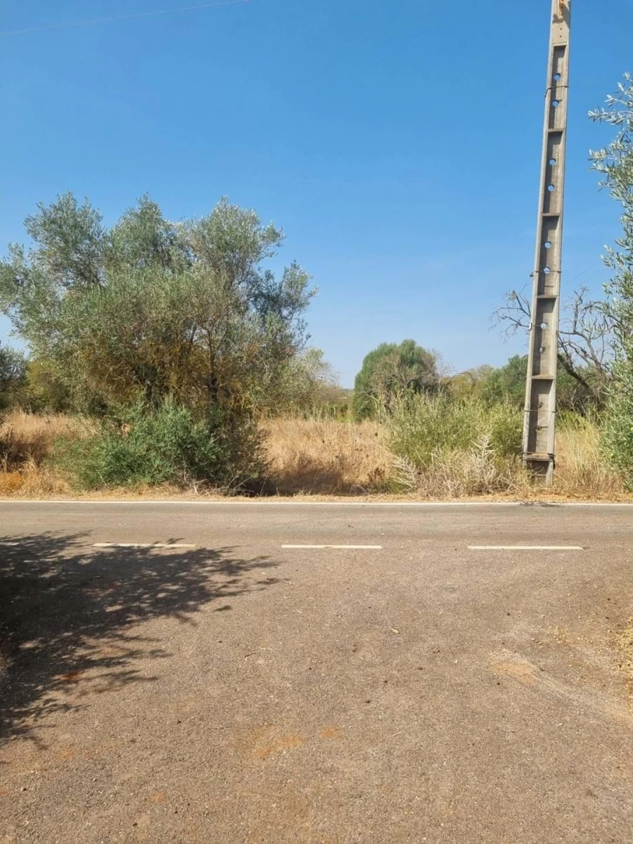 Terreno para Venda em Silves Foto 4
