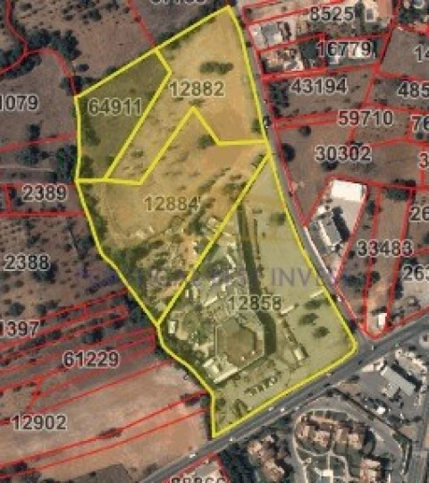 Negócio para Venda em Quarteira