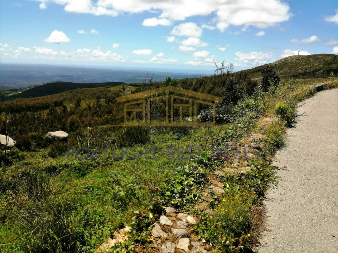 Terreno Misto para Venda em Monchique Foto 26
