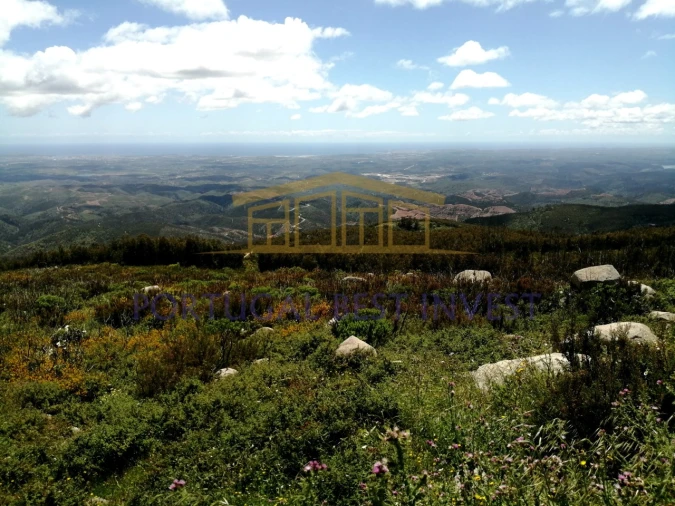 Terreno Misto para Venda em Monchique Foto 37