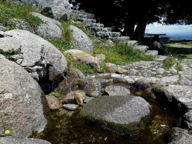 Terreno Misto para Venda em Monchique Foto 12