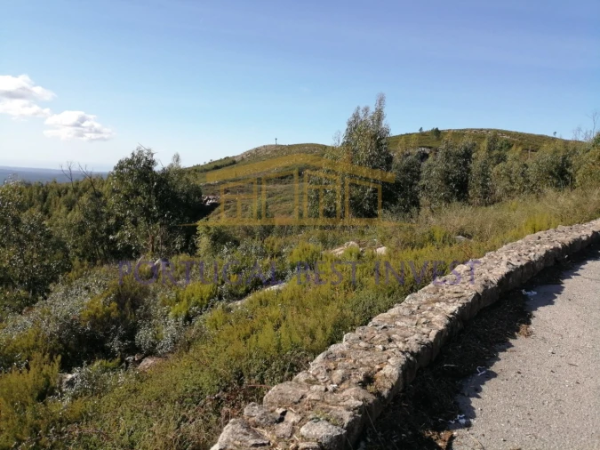 Terreno Misto para Venda em Monchique Foto 3