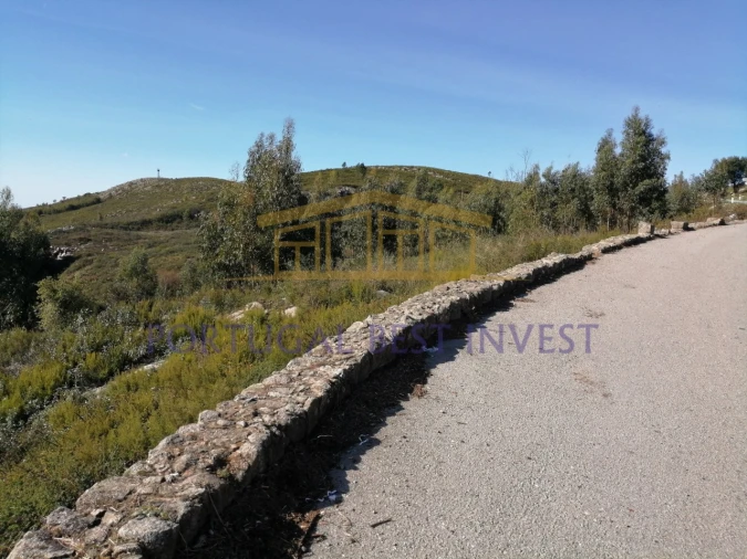 Terreno Misto para Venda em Monchique Foto 5