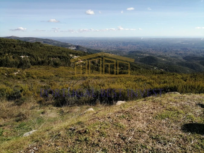 Terreno Misto para Venda em Monchique Foto 6