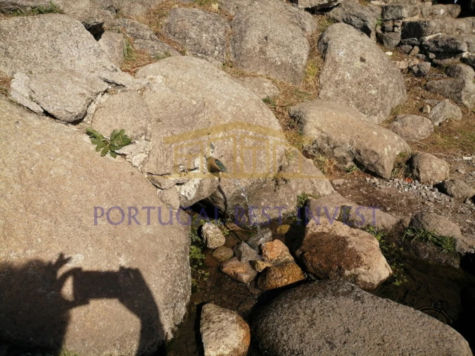 Terreno Misto para Venda em Monchique Foto 10